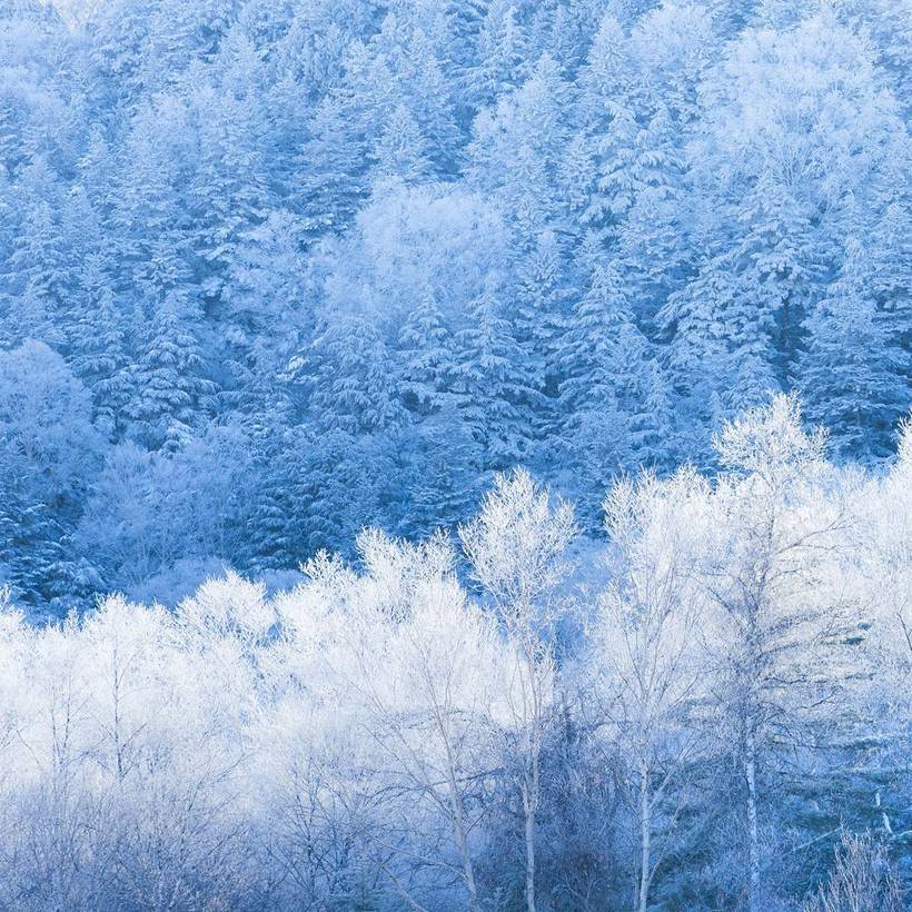 13 чарівних знімків Японії, зроблених геніальним Такаші Комацубара 