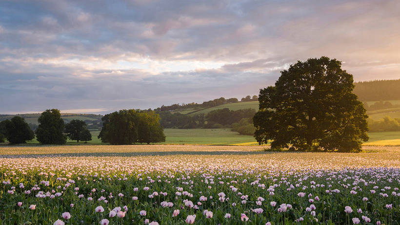 The best landscapes of the marvelous UK in 2017 