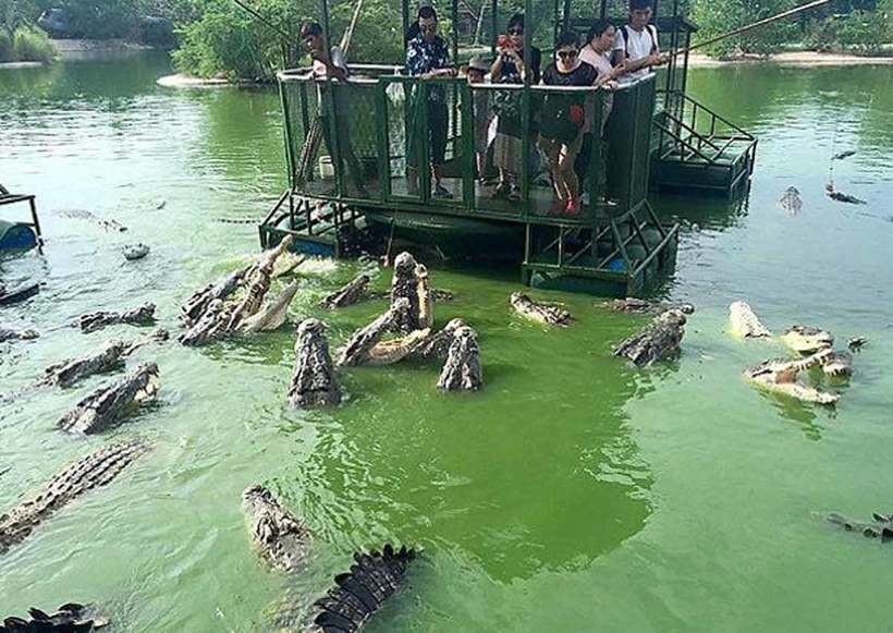 Crocodile farm in Thailand - a great place for thrill-seekers 