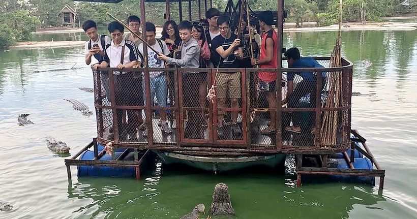 Crocodile farm in Thailand - a great place for thrill-seekers