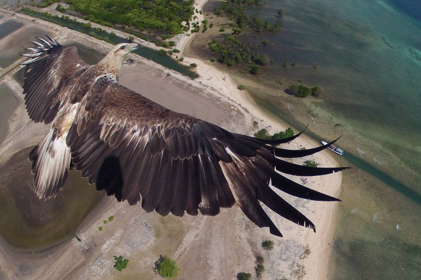 20 fascinating photos from around the world made by drones