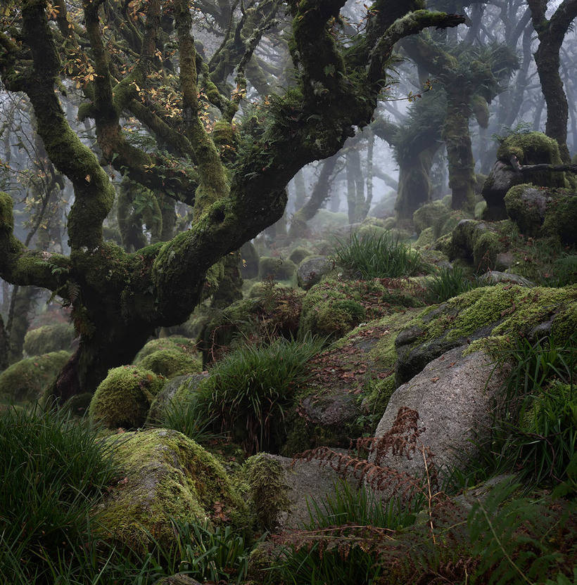 The best landscapes of the marvelous UK in 2017 