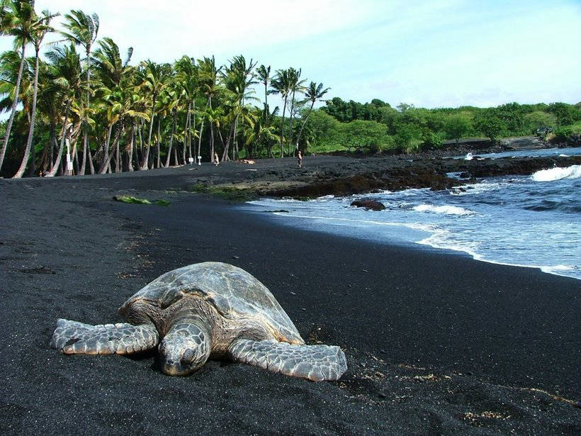 Seven of the most fantastic beaches of the planet with black sand