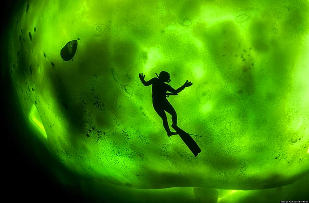 A diver under a thick layer of ice that reflects the glow of the Northern Lights
