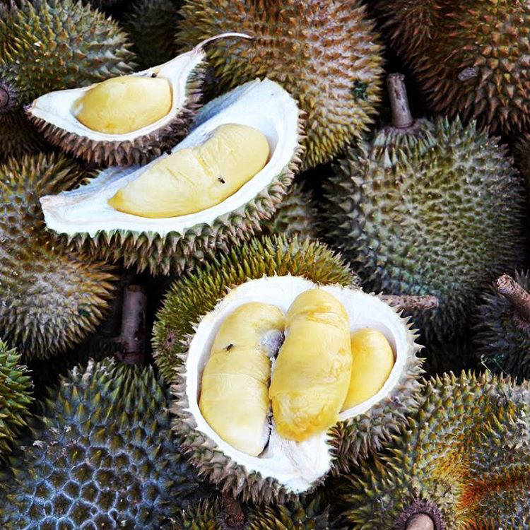 20 strange exotic fruits, the existence of which you did not suspect
