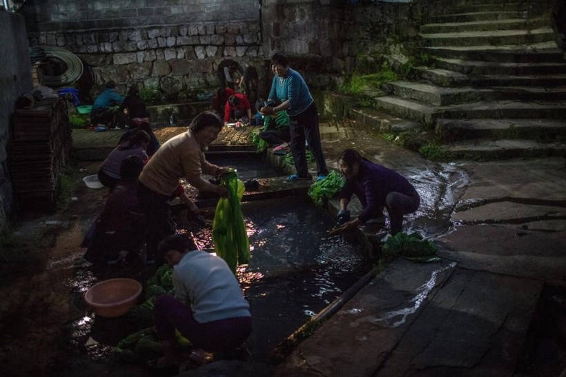 The green seas of China's plantations, where they produce a quarter of the world's tea