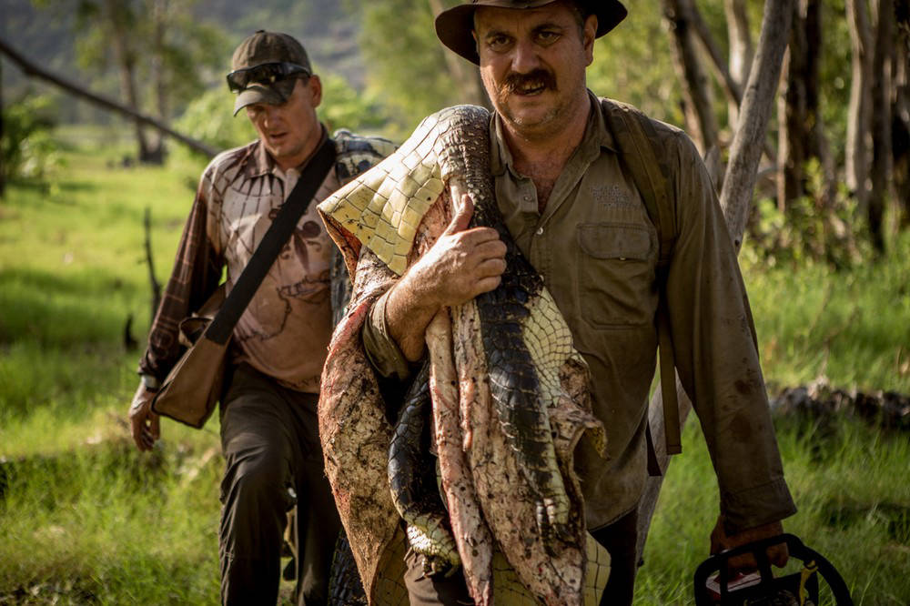 Australian Hunters on Giant Crocodiles