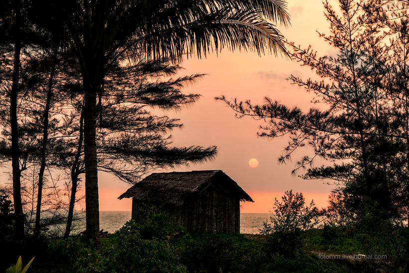 Волшебство загадочного острова Суматра