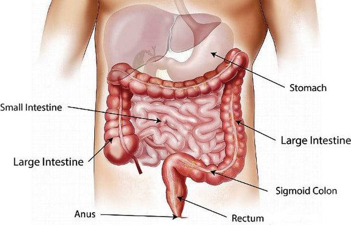 Gunshot wound: hydrostatic.