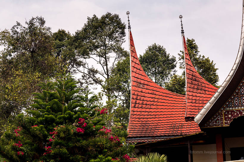 Волшебство загадочного острова Суматра