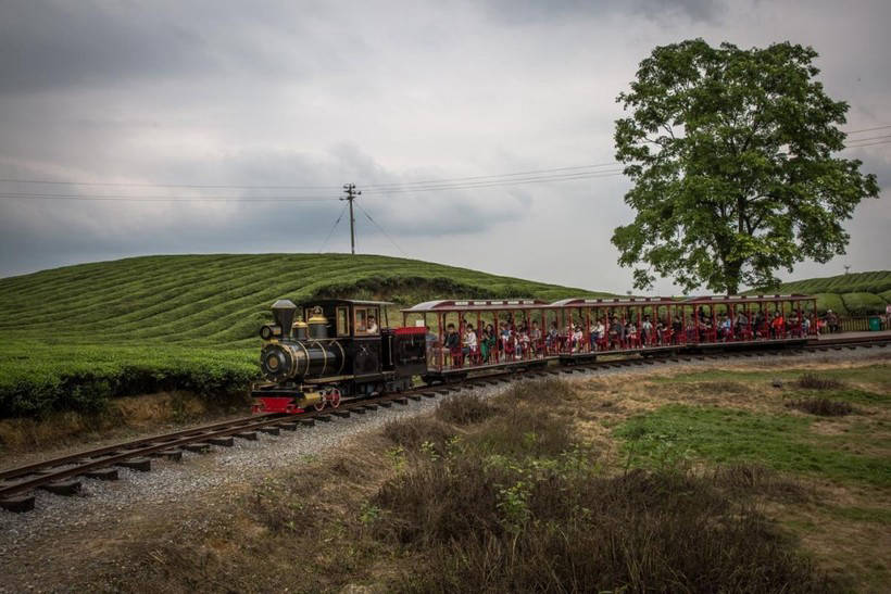 Green seas of Chinese plantations, where one quarter of all tea is produced in the world