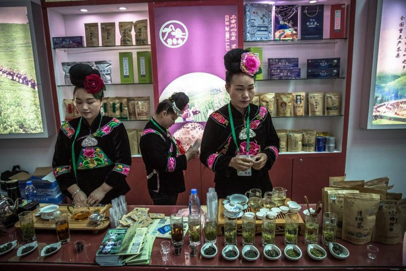 Зелені моря плантацій Китаю, де виробляють чверть всього чаю в світі