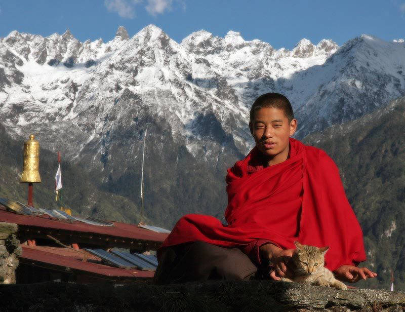 Як тибетці пристосувалися до нестачі кисню в умовах високогір'я