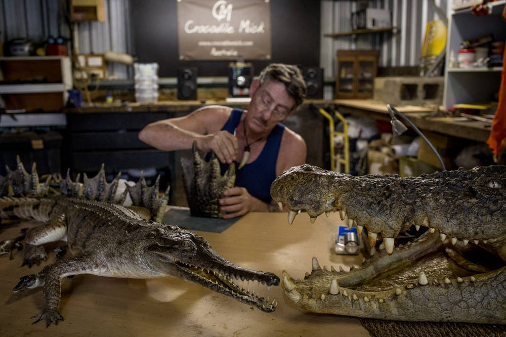 Австралійські мисливці на гігантських крокодилів