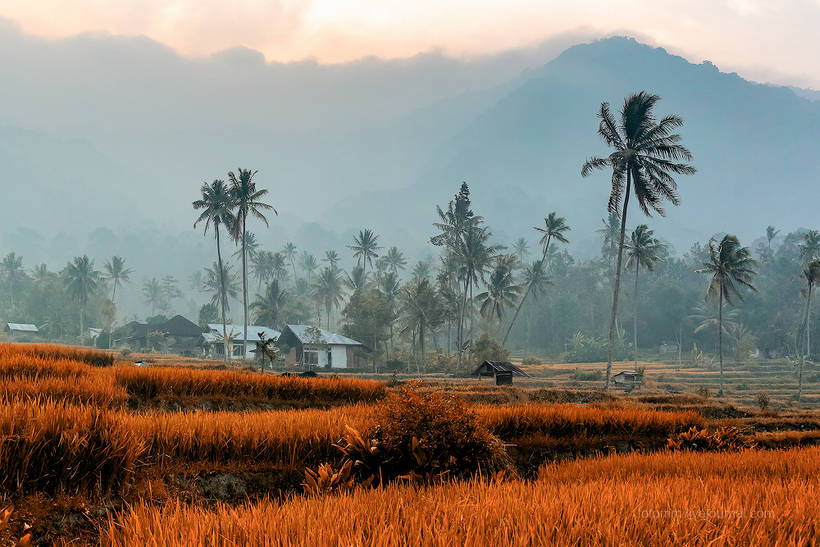Волшебство загадочного острова Суматра