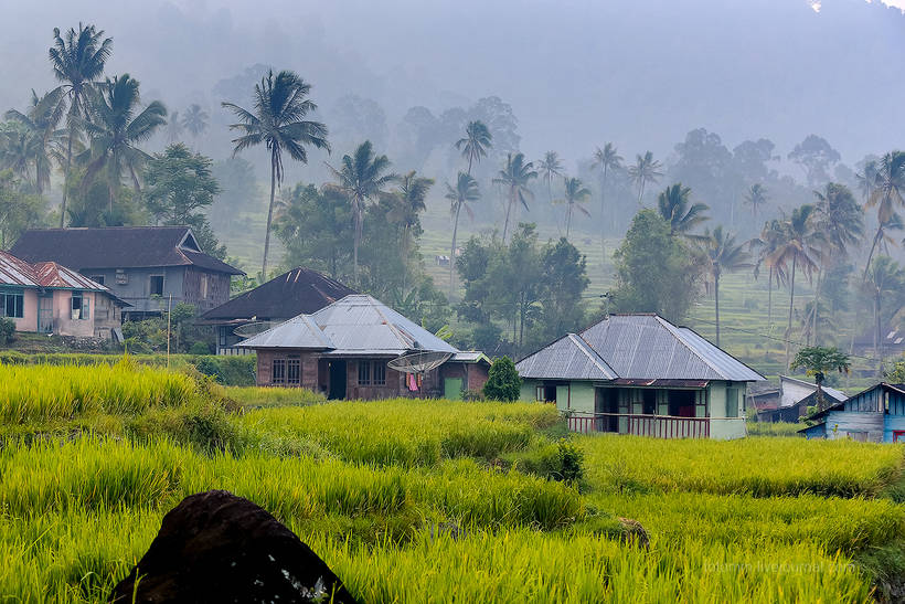 Волшебство загадочного острова Суматра