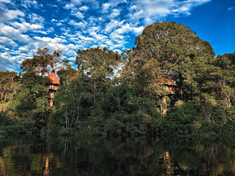 18 самых невероятных домов на деревьях, в которых сразу хочется очутиться