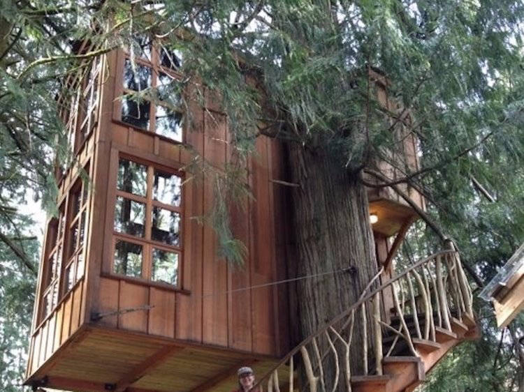 18 самых невероятных домов на деревьях, в которых сразу хочется очутиться