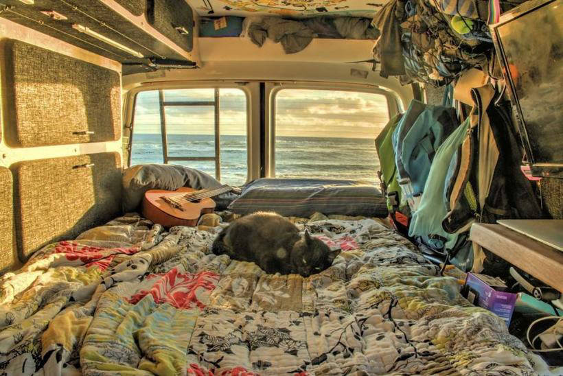 The guy quit his job, sold everything and went on a trip with his cat 