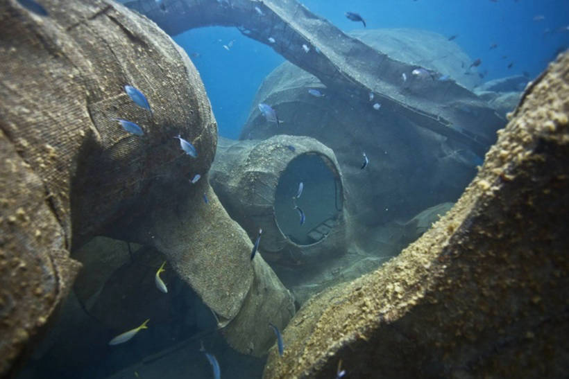 В Карибском море создали самый невероятный искусственный коралловый риф