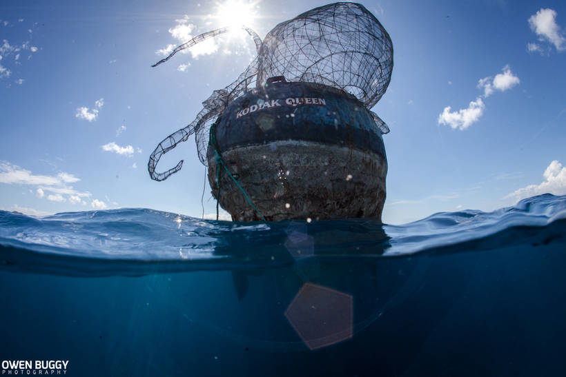 В Карибском море создали самый невероятный искусственный коралловый риф