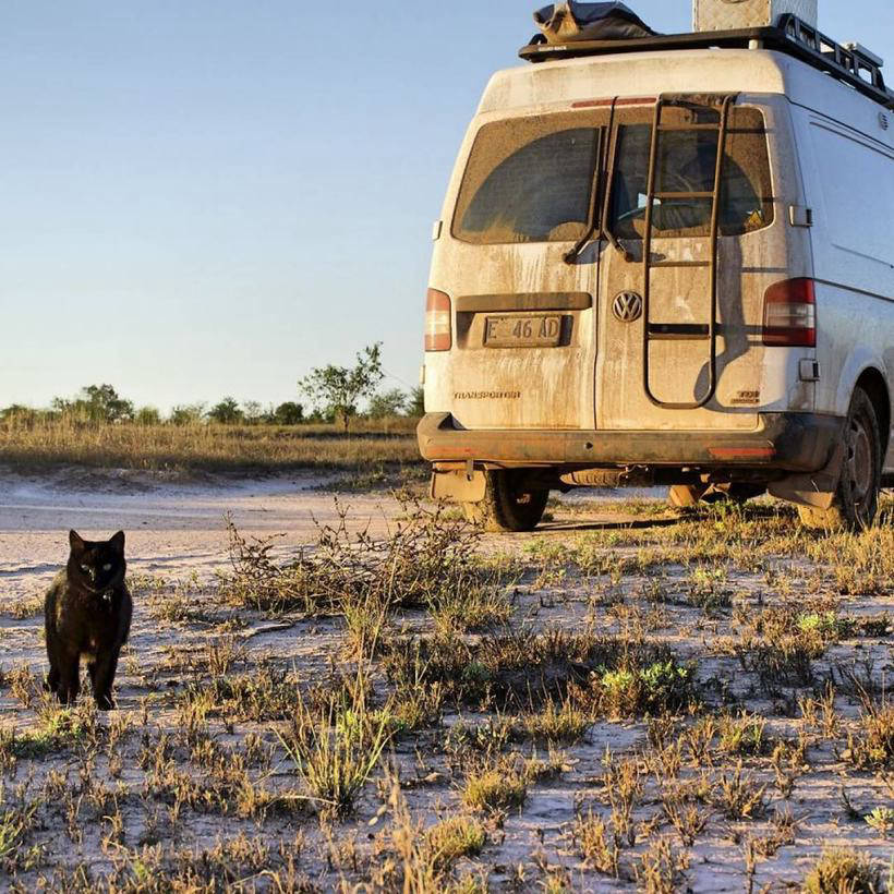 The guy quit his job, sold everything and went on a trip with his cat 