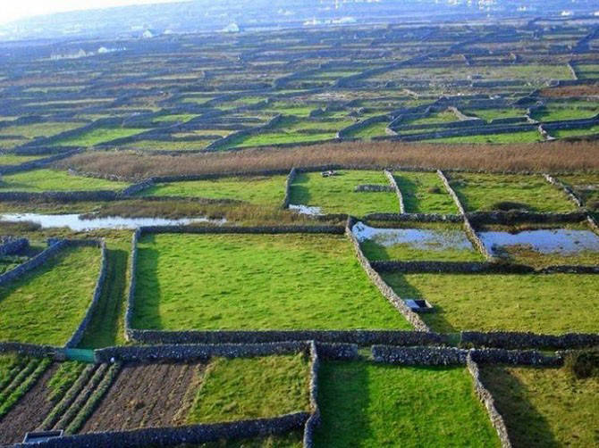 The stone walls in Ireland (15 photos)