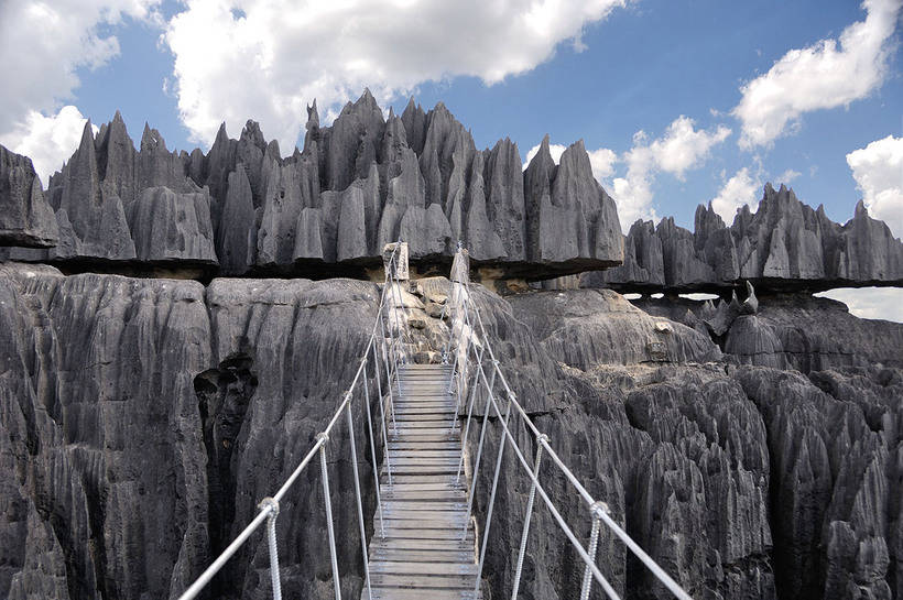 Загадка возникновения каменного леса на Мадагаскаре
