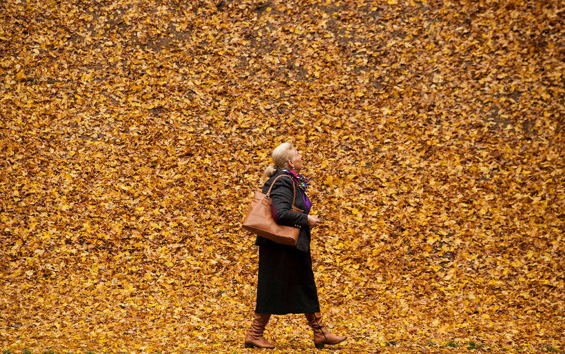 Фото, после которых никакой зимы не хочется: осень в снимках лучших фотографов года
