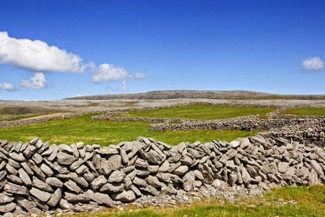 Каменные стены в Ирландии (15 фото)