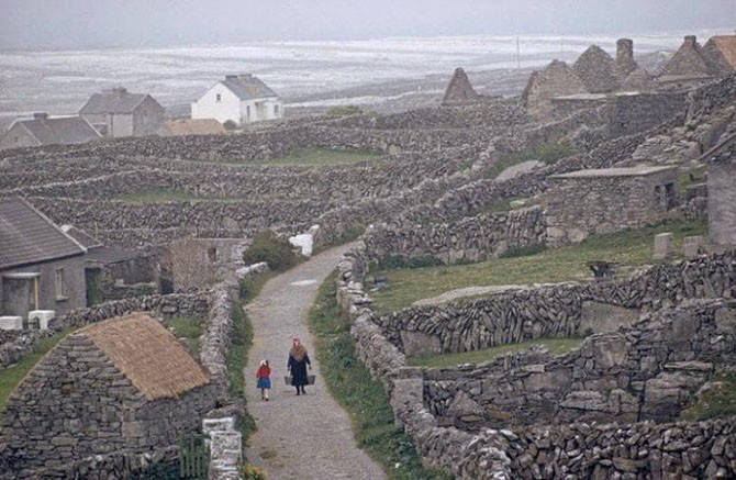 Stone walls in Ireland (15 photos)