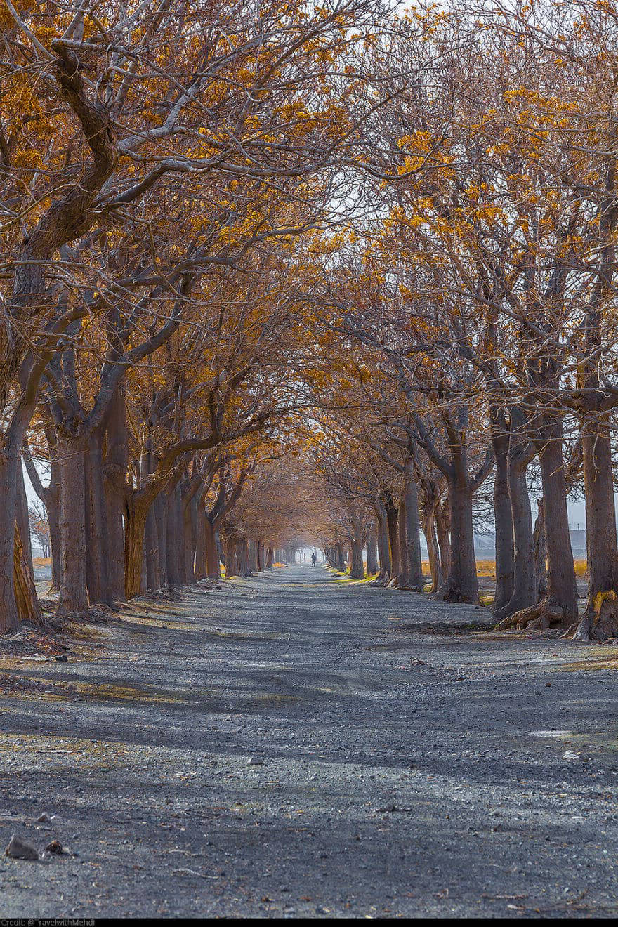 Okrug Shokat-Abad, Birjand, Southern Khorasan