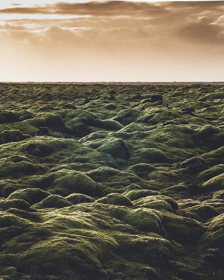 16 бесподобных пейзажей от 17-летнего фотографа, от которых невозможно отвести взгляд