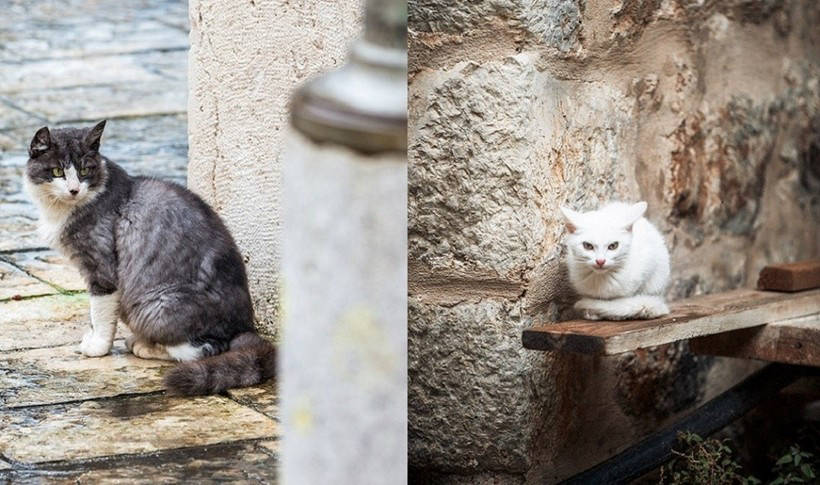 16 фото, доказывающих, что Черногория — это то, что вы всегда искали