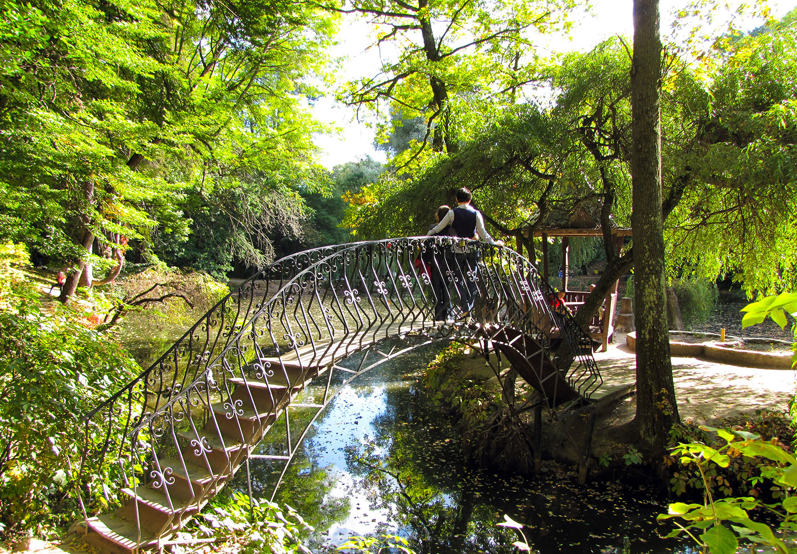 Krasnokutsky dendropark