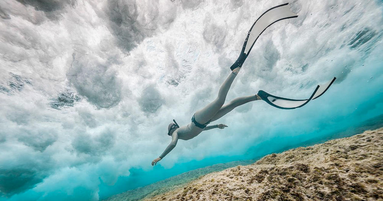 Winners of the competition for the best photo of the underwater world announced