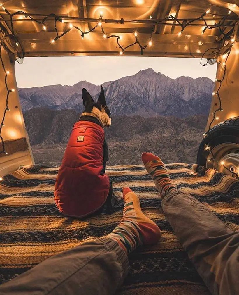 30 крутых фото из Project Van Life о том, к чему приводит страсть к путешествиям 