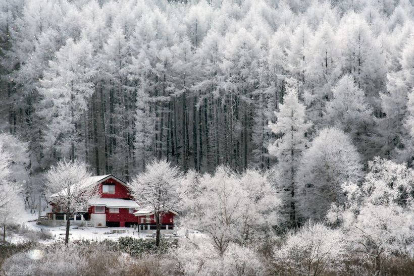 Фотограф запечатлел красоту японской зимы в сказочных снимках