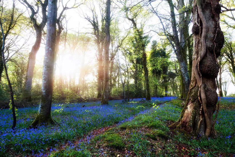 20 сногсшибательных пейзажей Великобритании, от красоты которых перехватывает дыхание