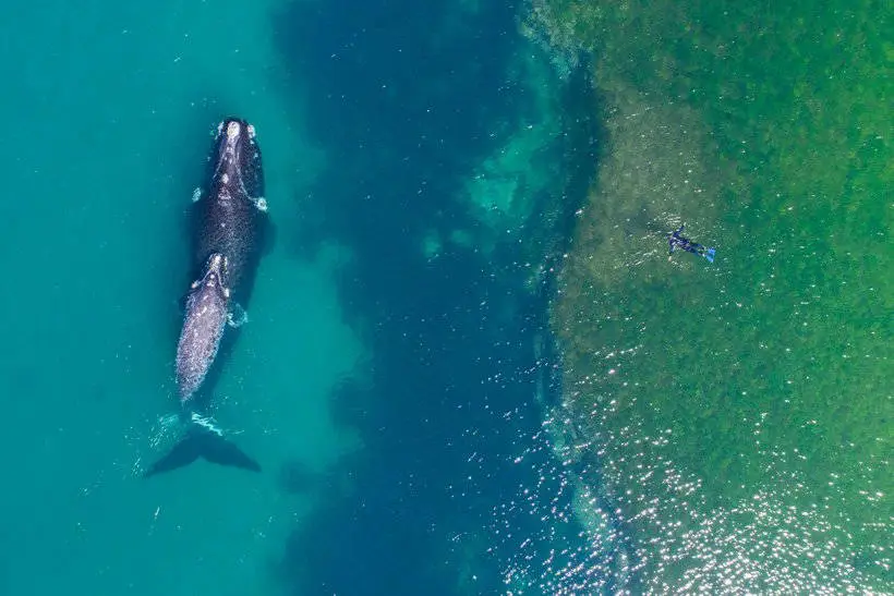 20 лучших дрон-фотографий 2017 года по версии Dronestagram