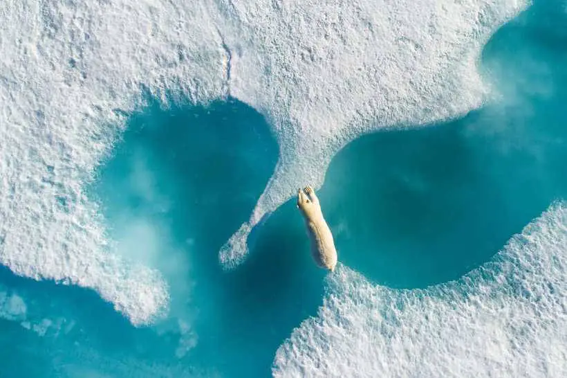 SkyPixel представил самые крутые воздушные фото 2017 года