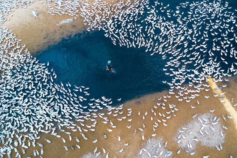 SkyPixel представил самые крутые воздушные фото 2017 года