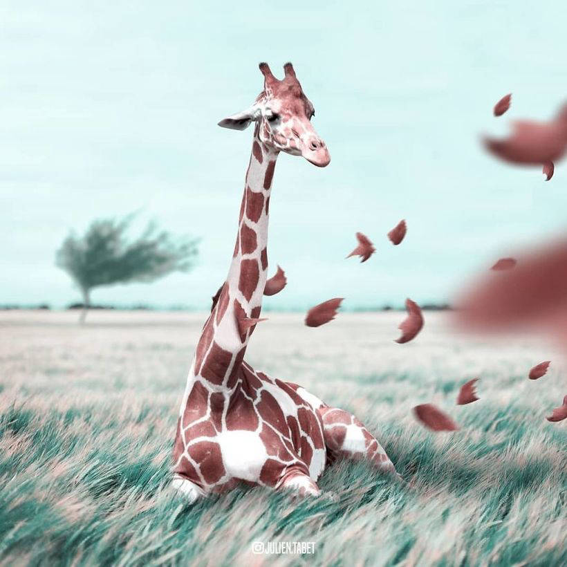 Французский художник превращает животных в фантастических созданий с помощью фотошопа