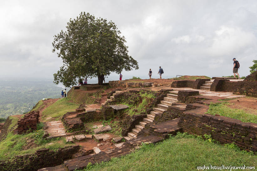 Ланкийский Эребор: восьмое чудо света — одинокая львиная гора-крепость Сигирия