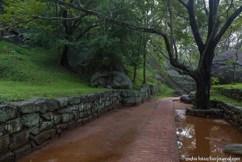 Ланкийский Эребор: восьмое чудо света — одинокая львиная гора-крепость Сигирия