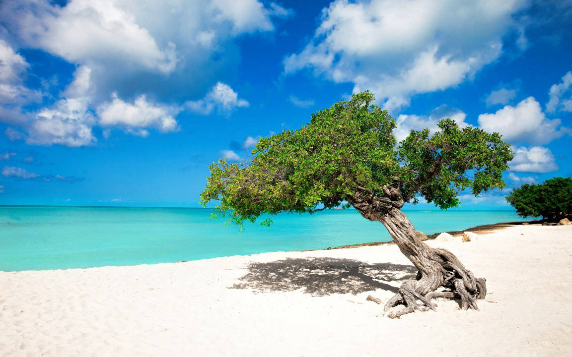 Лучшие пляжи мира - Eagle beach, Aruba