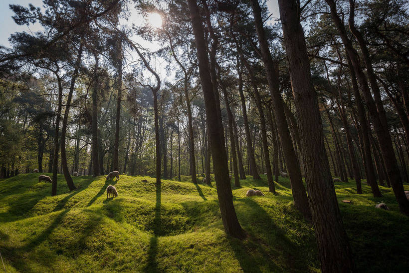 How the battlefields of the First World War look after 100 years