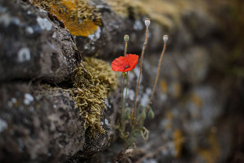 How do the battles of the First World War look like 100 years old