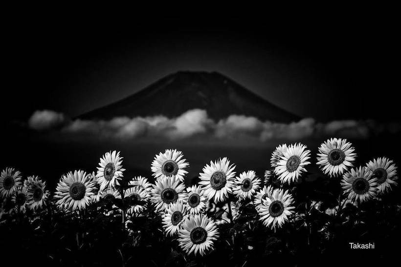 Magic pictures of the mountain Fuji, from which the power comes