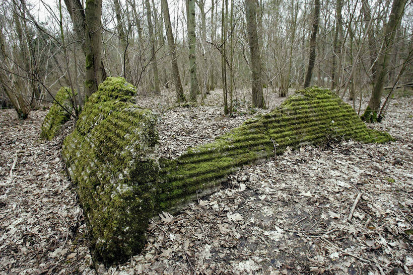 How the battlefields of the First World War look after 100 years